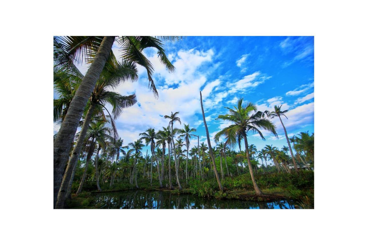 Munroe Paradise Appartement Munroe Island Buitenkant foto